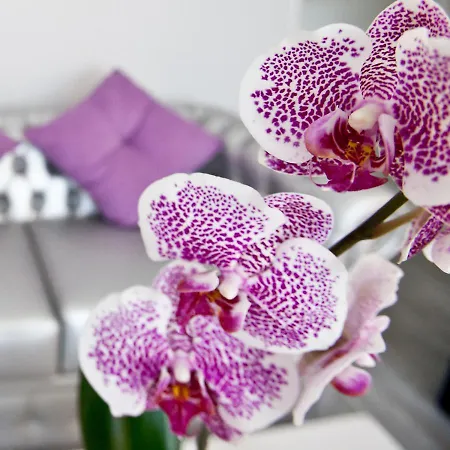 Alix Boutique 4*